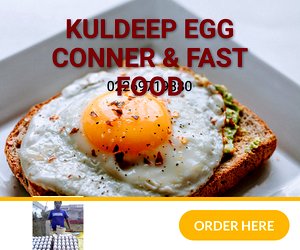 EGG